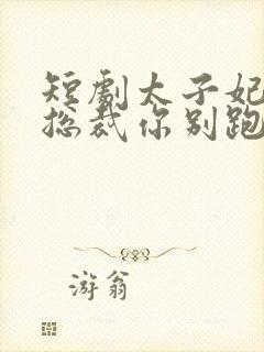 短剧太子妃驾到总裁你别跑79集