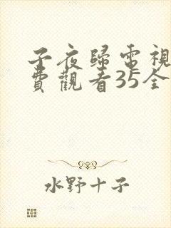 子夜归电视剧免费观看35全集高清