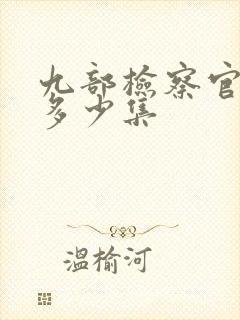 九部检察官一共多少集