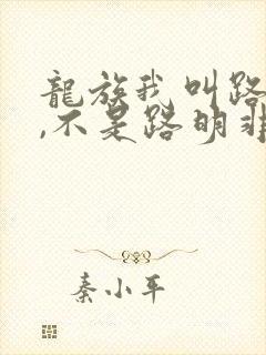 龙族我叫路明菲,不是路明非