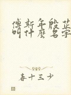 傅斯年殷芷小说叫什么名字