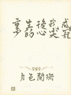 重生后我成了叶少的心尖宠小说免费