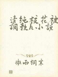 清纯校花被地狱调教h小说