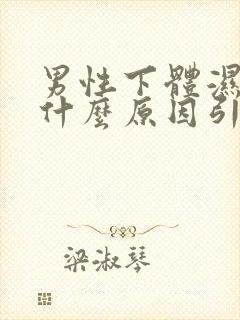 男性下体湿热是什么原因引起的