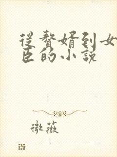 从赘婿到女帝宠臣的小说