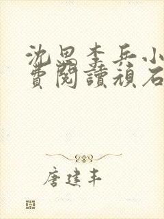 沈思李兵小说免费阅读顽石网