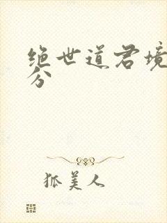 绝世道君境界划分