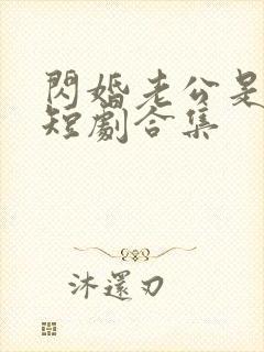 闪婚老公是豪门短剧合集