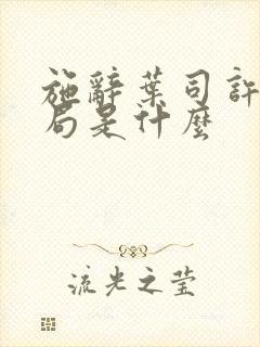 施辞叶司许大结局是什么