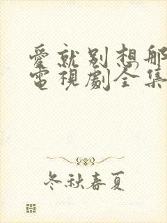 爱就别想那么多电视剧全集免费观看