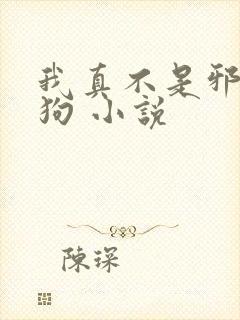 我真不是邪神走狗 小说