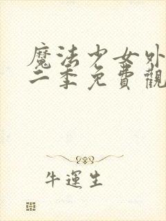 魔法少女外传第二季免费观看