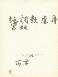 纯调教虐身惩罚男奴