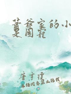 萧爷家的小祖宗是团宠