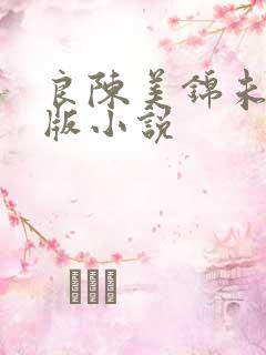 良陈美锦未删减版小说