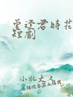 曾逢君时花照眼短剧