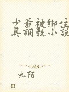 少爷被绑住用刑具调教小说