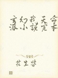 玄幻我天命大反派小说完本