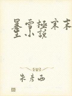 暴雪极寒末世重生小说