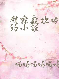 赵霖毅攻略男主的小说