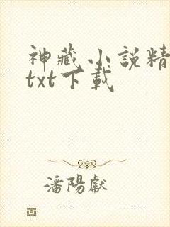 神藏小说精校版txt下载