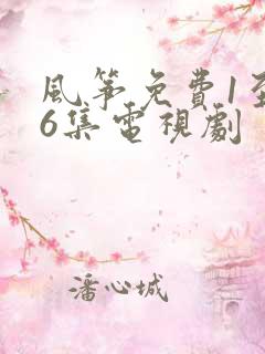 风筝免费1至46集电视剧