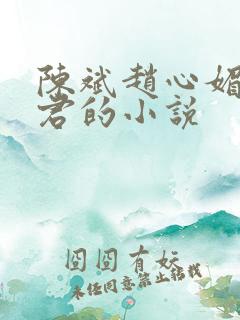 陈斌赵心媚高婉君的小说