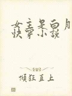 女主是白月光的快穿小说
