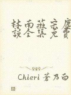 林南薇宋尘翎小说全集免费阅读