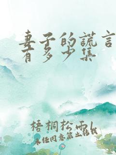 妻子的谎言一共有多少集