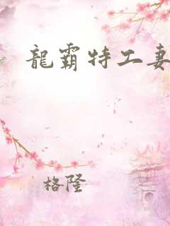 龙霸特工妻