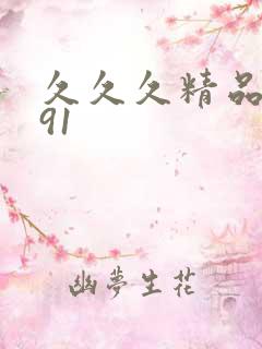 久久久精品国产91