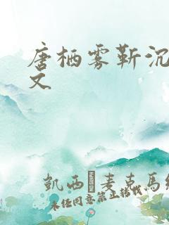 唐栖雾靳沉野全文