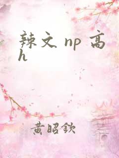 辣文 np 高h