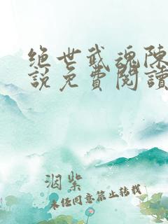 绝世武魂陈枫小说免费阅读