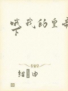 哦 我的皇帝陛下