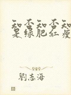 知否知否知否应是绿肥红瘦什么花