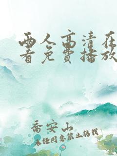 两人高清在线观看免费播放电视剧