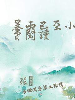 暴雨已至小说免费阅读