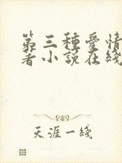 第三种爱情 原著小说在线阅读