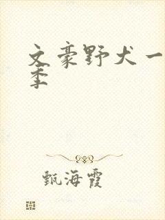 文豪野犬一共几季