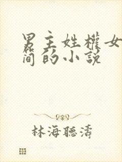 男主姓权女主姓简的小说