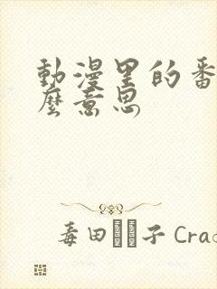 动漫里的番是什么意思