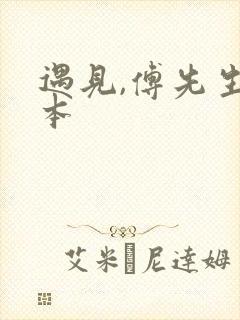 遇见,傅先生完本