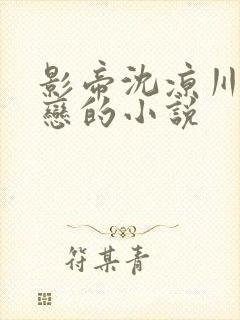 影帝沈凉川和乔恋的小说