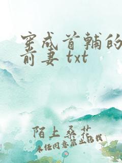穿成首辅的炮灰前妻 txt