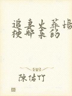 追妻火葬场这个梗哪来的