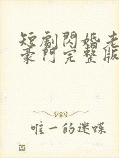 短剧闪婚老公是豪门完整版简介