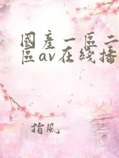 国产一区二区三区av在线播放