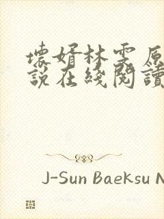 坏婿林雯原著小说在线阅读